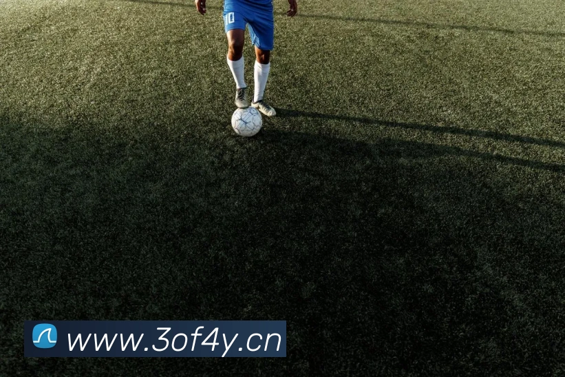 云顶网页版入口发展历程